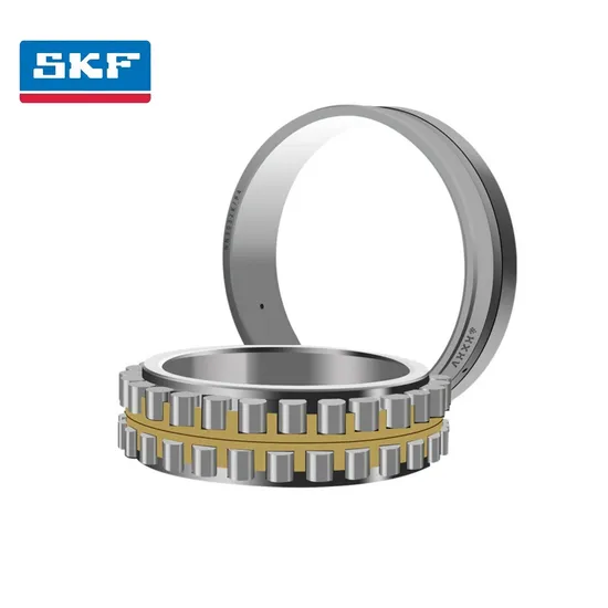 Double Row Cylindrical Roller Bearing NUP309 EC J with C3 Clearance for Fan Equipment